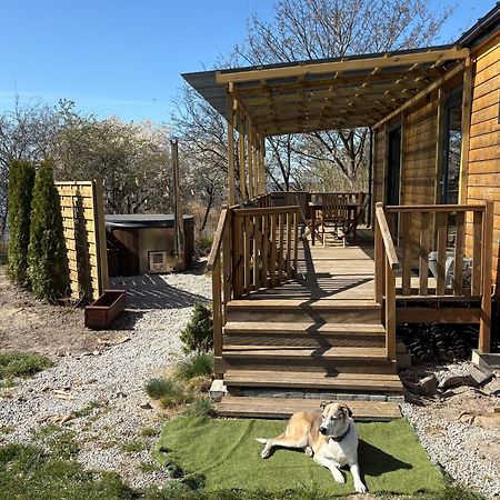 Tiny Beach House Heated And Airconditioned Wapnica (West Pomeranian) Exterior foto